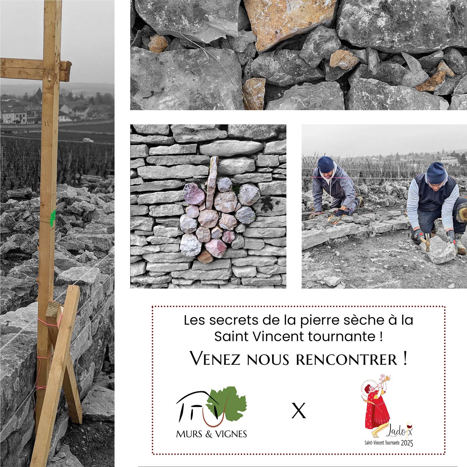 saint vincent 2025 Ladoix serrigny Murs et vignes