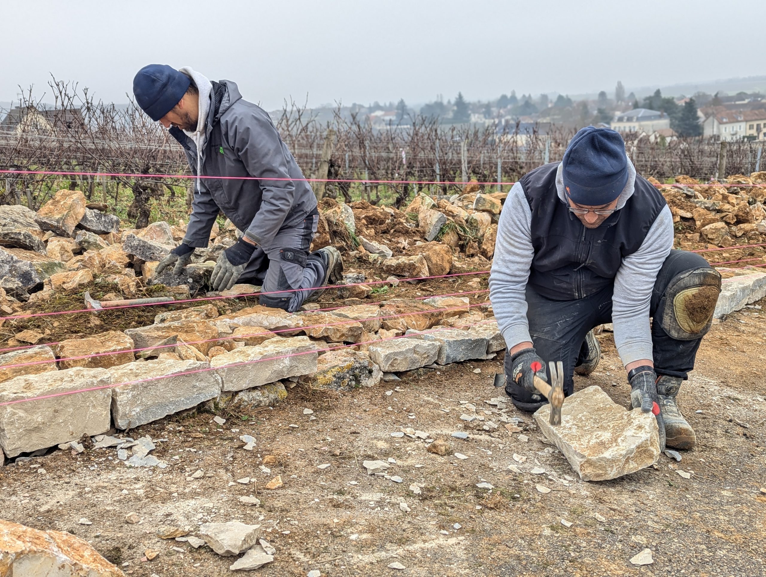 Murs_patrimoine_pierres_sèches_société_Murs_et_Vignes