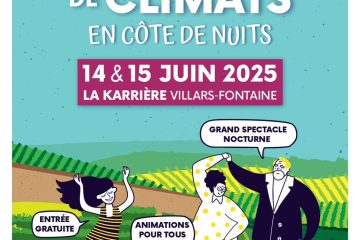 https://mursetvignes.fr/wp-content/uploads/2025/06/Entreprise-pierre-seche-bourgogne-2.jpg