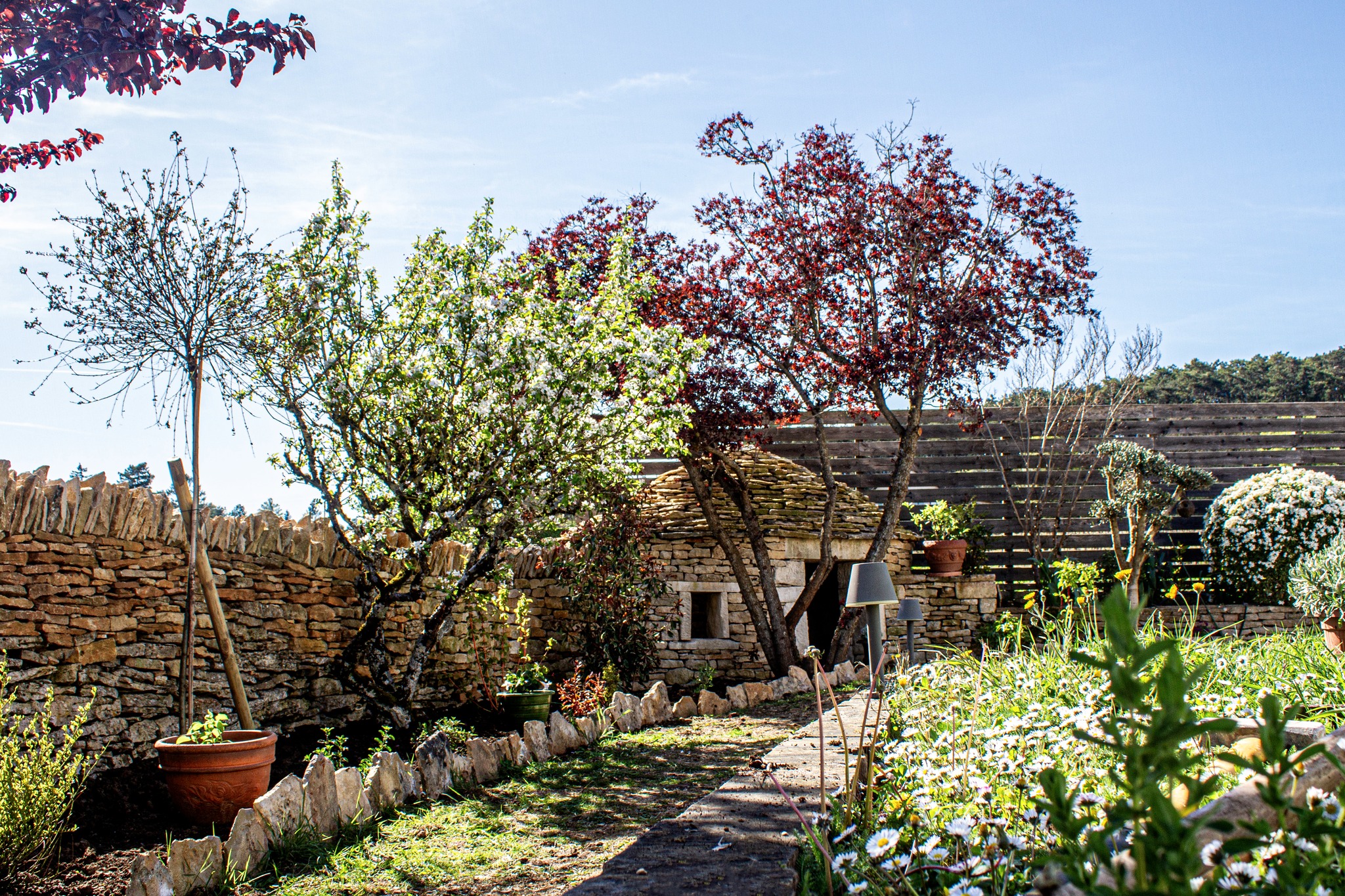 cabotte pierre sèche ladoix serrigny