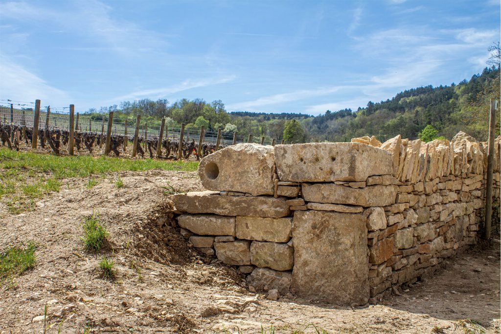 muret pierre sèche en construction, Beaune, Bourgogne, France