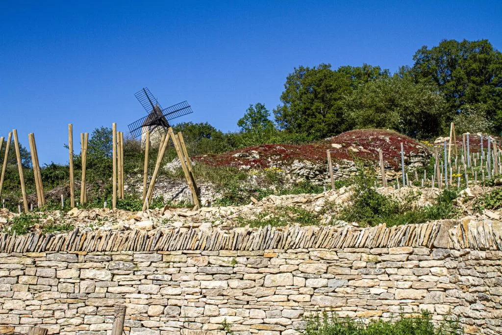 muret pierre sèche en construction, Beaune, Bourgogne, France