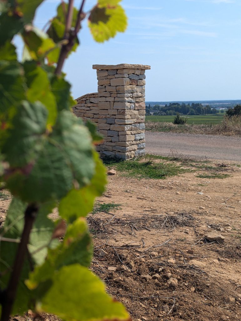 muret pierre sèche en construction, Beaune, Bourgogne, France