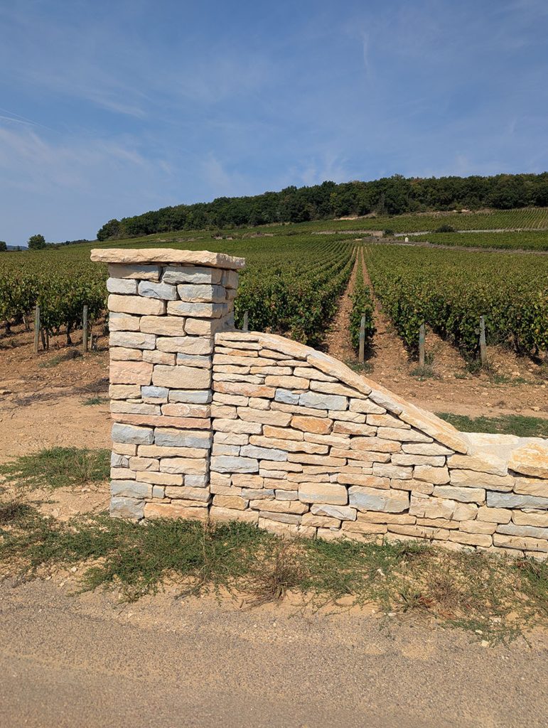 muret pierre sèche en construction, Beaune, Bourgogne, France