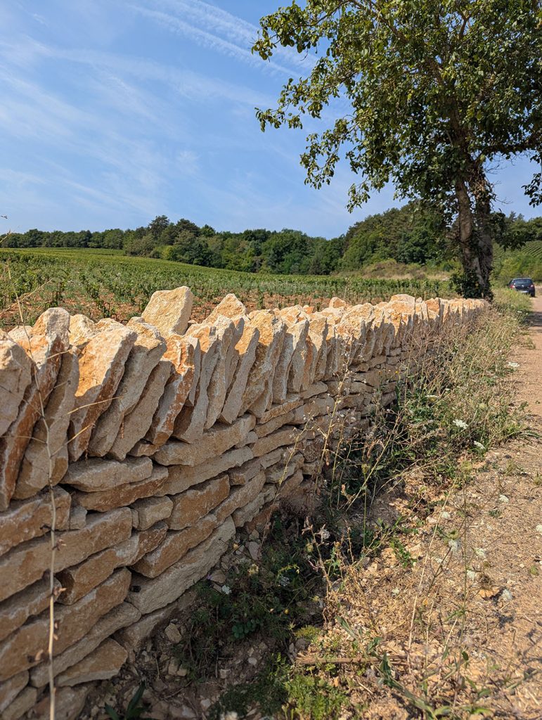 muret pierre sèche en construction, Beaune, Bourgogne, France