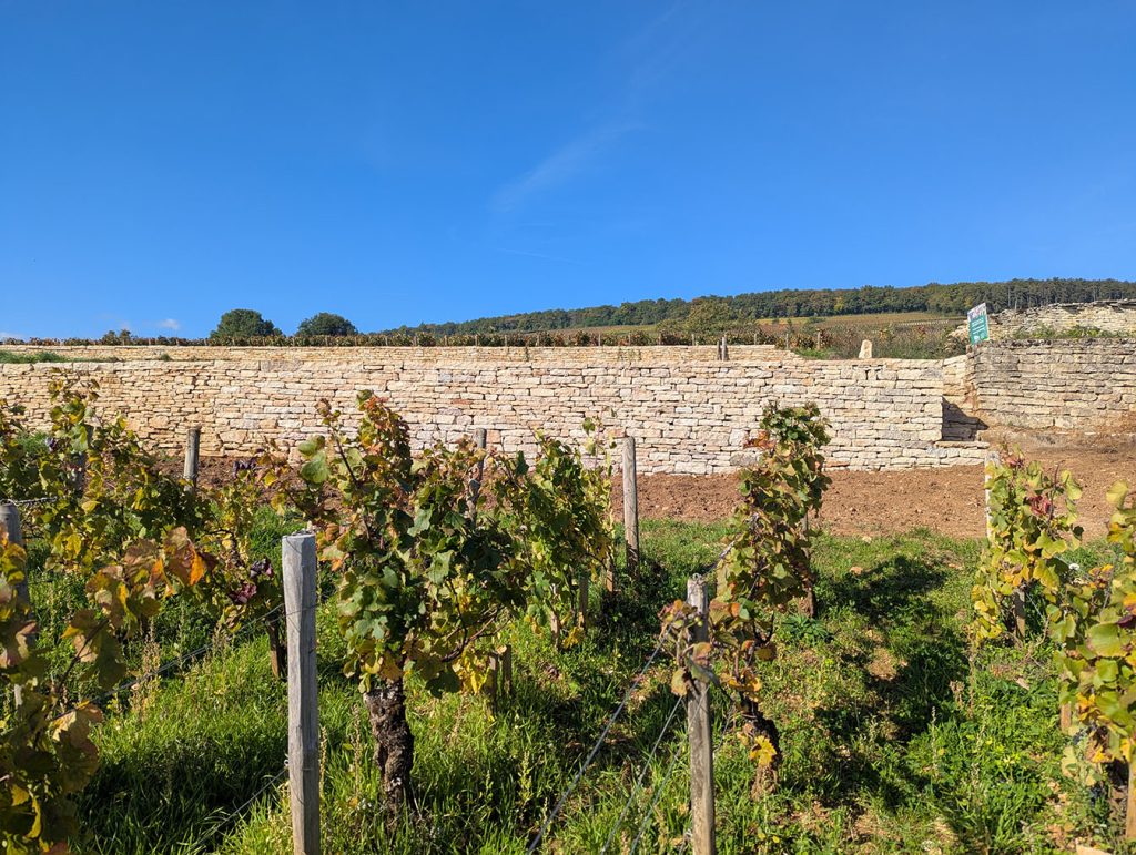 muret pierre sèche en construction, Beaune, Bourgogne, France