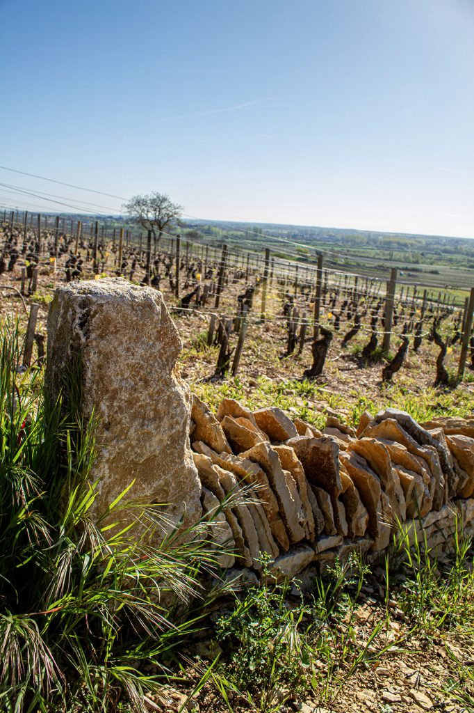 muret pierre sèche en construction, Beaune, Bourgogne, France