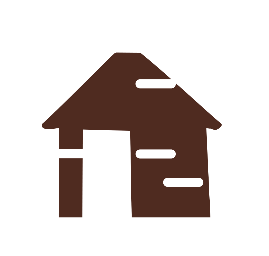 Puce expérience France